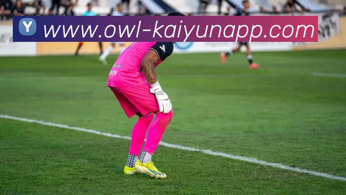 开云体育服务体系